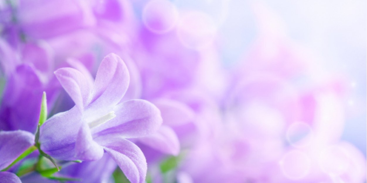 RealPrincessMel's profile banner image