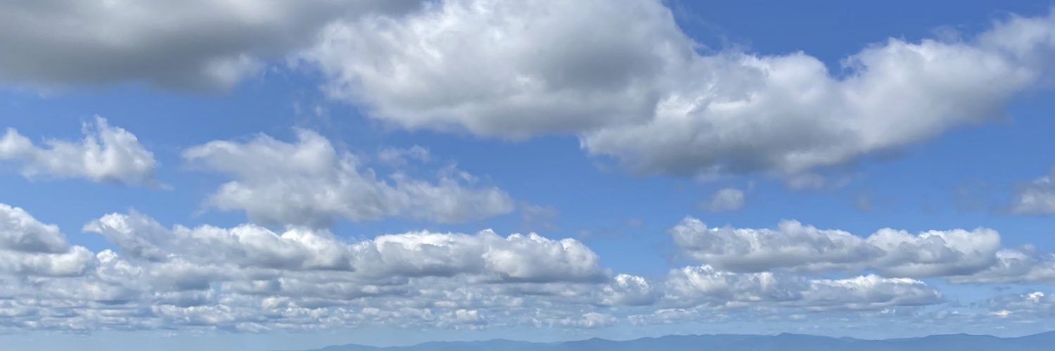 vivapoet's profile banner image