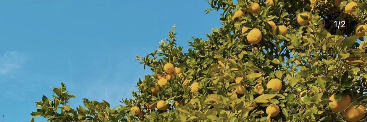 DevvB__'s profile banner image