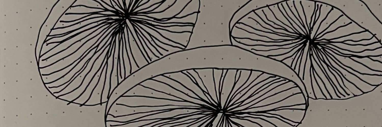colettoris's profile banner image