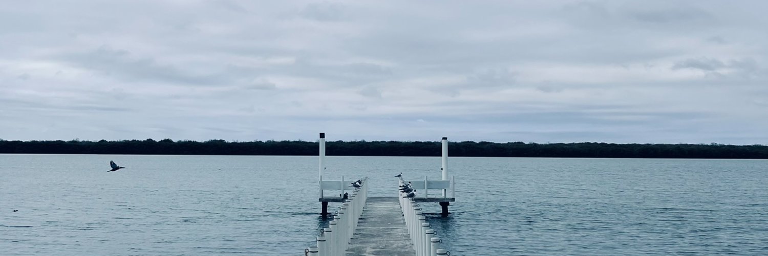 0xGR_ banner