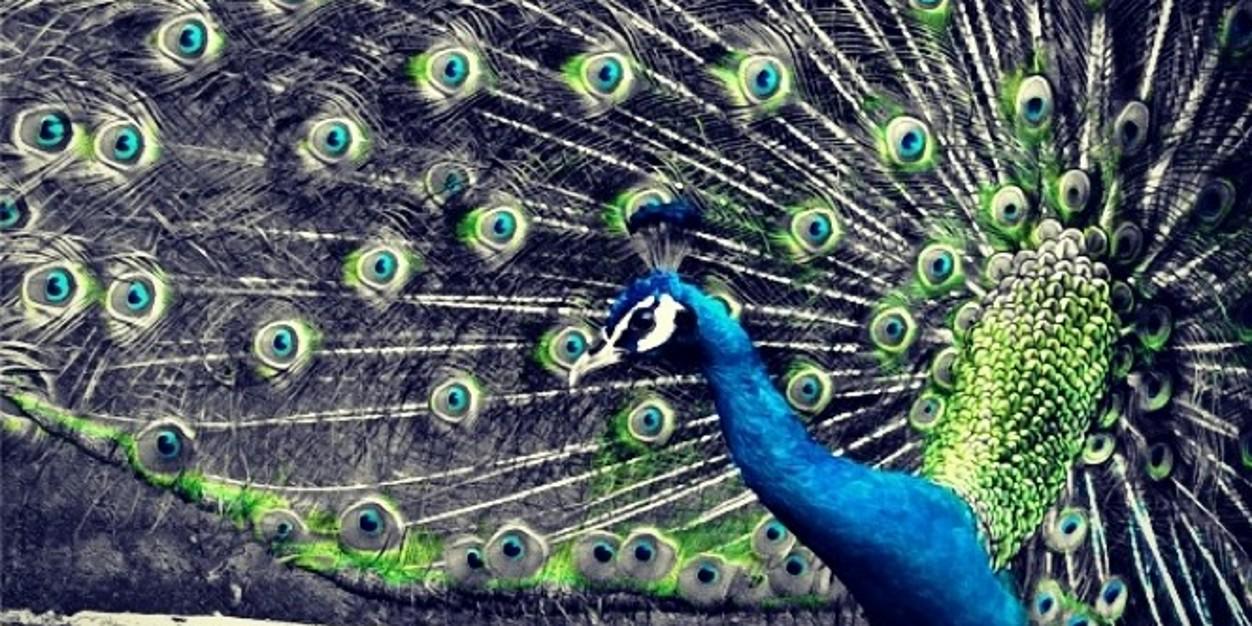 DivyarajWIN's profile banner image