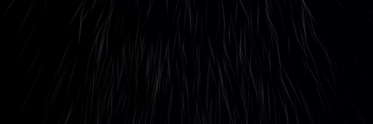 NotWhoToo's profile banner image