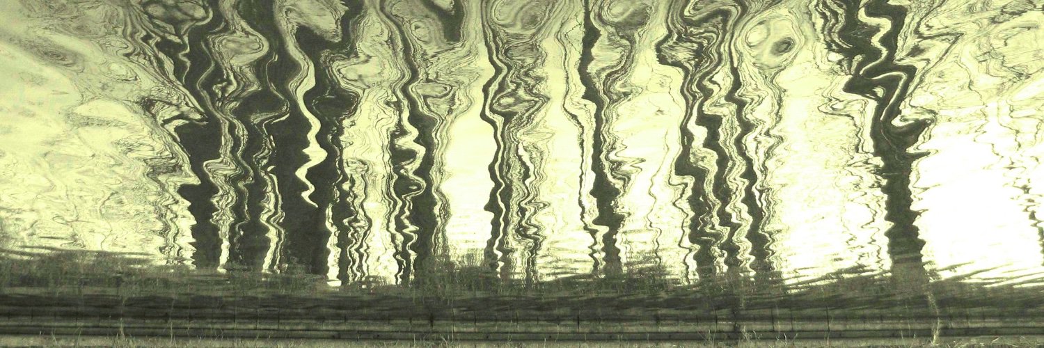 dr_robertaevans's profile banner image