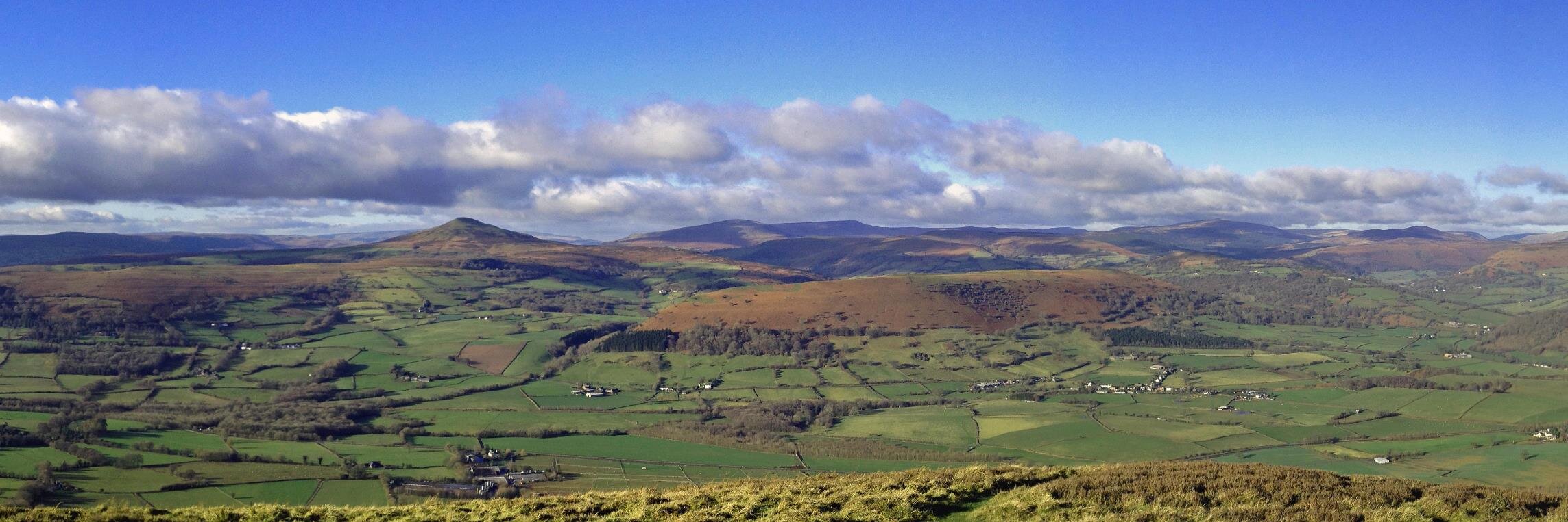 Simon Griffiths banner