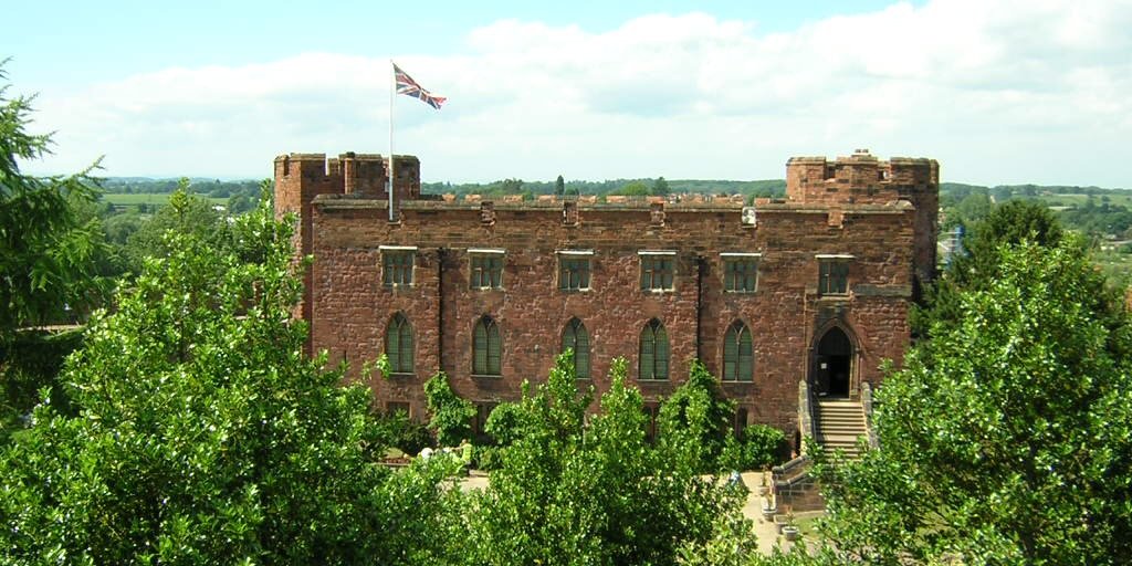 Bibbs Cameron banner