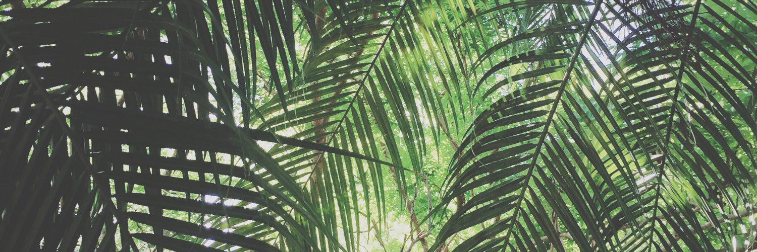 Miranda Strong banner