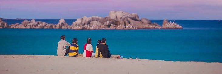 purzcat99's profile banner image