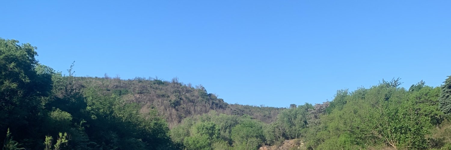 valuvignoli's profile banner image