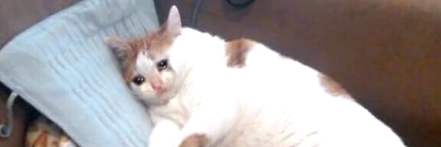adrixc4's profile banner image