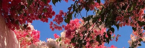 cmh_vt3's profile banner image