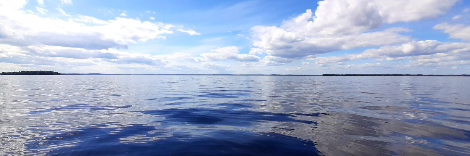 Sara Vänttinen🇺🇦 banner