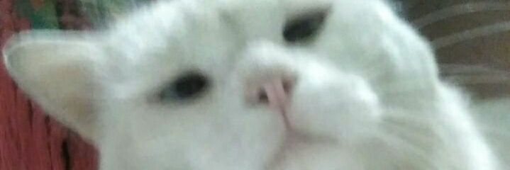 ikhtisan's profile banner image