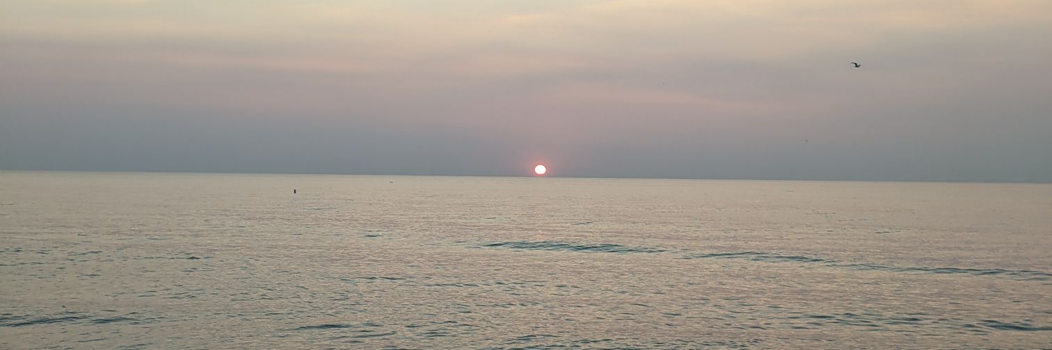 mbauer0501's profile banner image