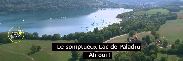 Sasha Mitchell banner