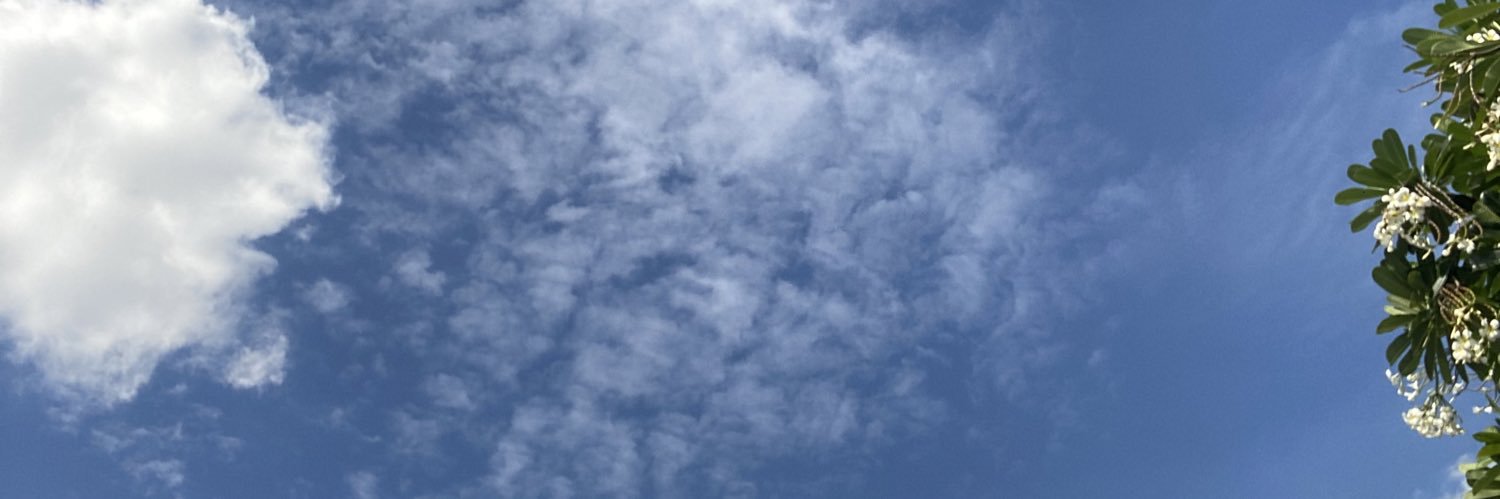 ngegative's profile banner image