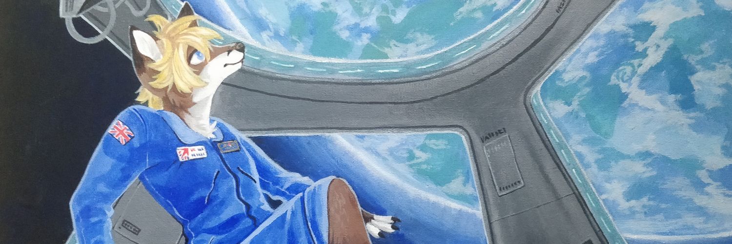 ValdisFox's profile banner image