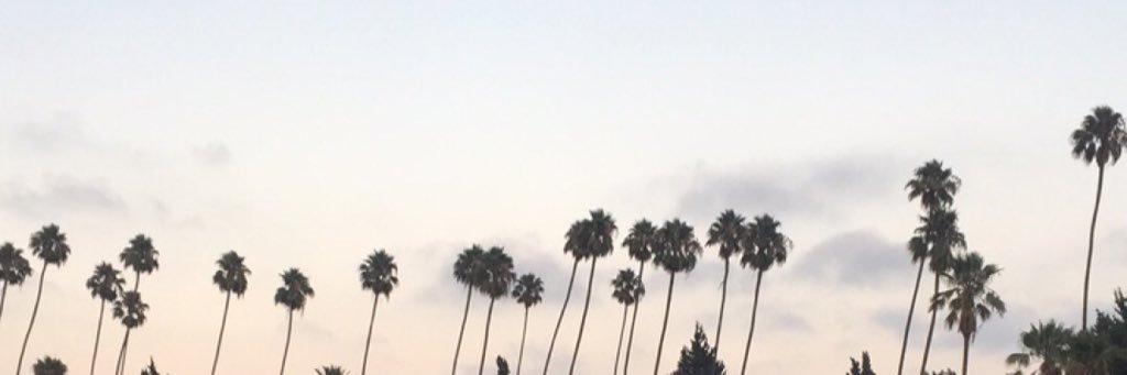 meg_ruth's profile banner image