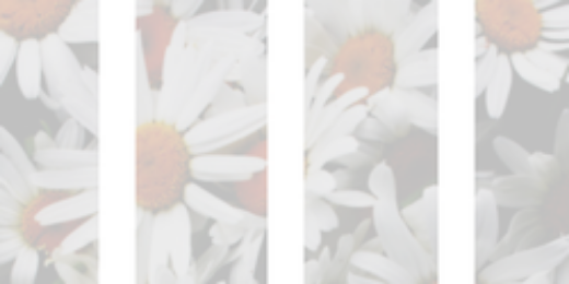 mileypsrgdr's profile banner image