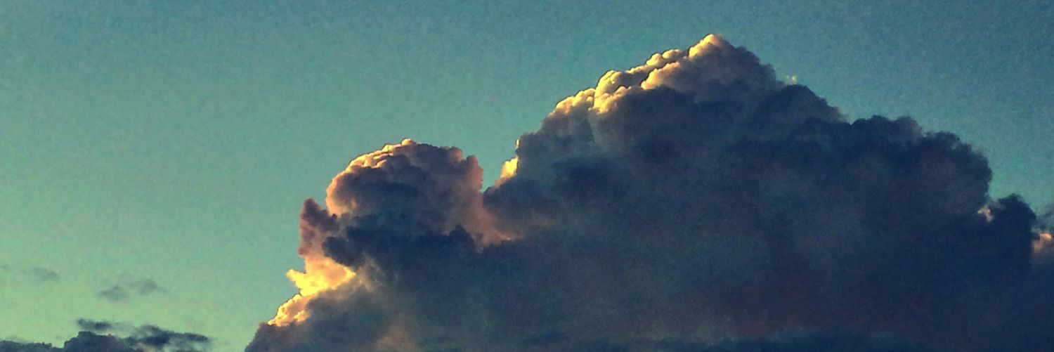Barb panique banner