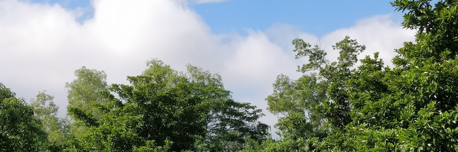 sreesab's profile banner image