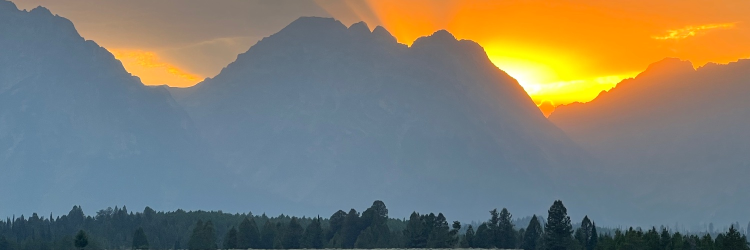 LoebVernon's profile banner image