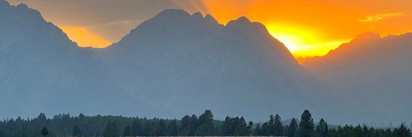 LoebVernon Profile Banner