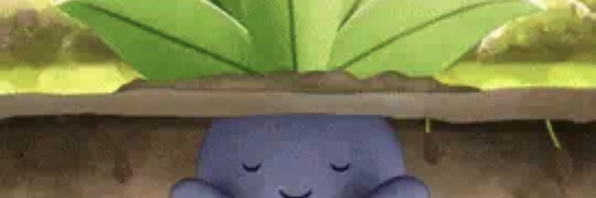 OddishWisp's profile banner image