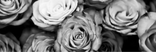 siangharad's profile banner image