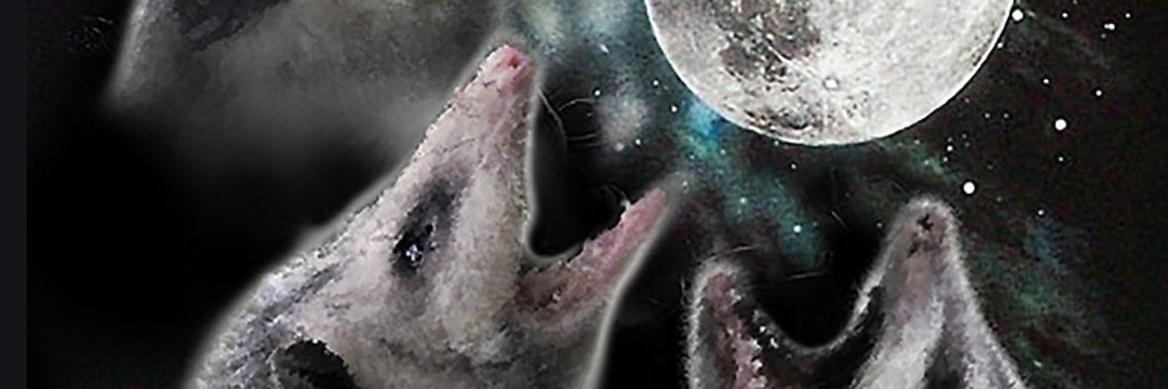 SpoutsofFacts's profile banner image