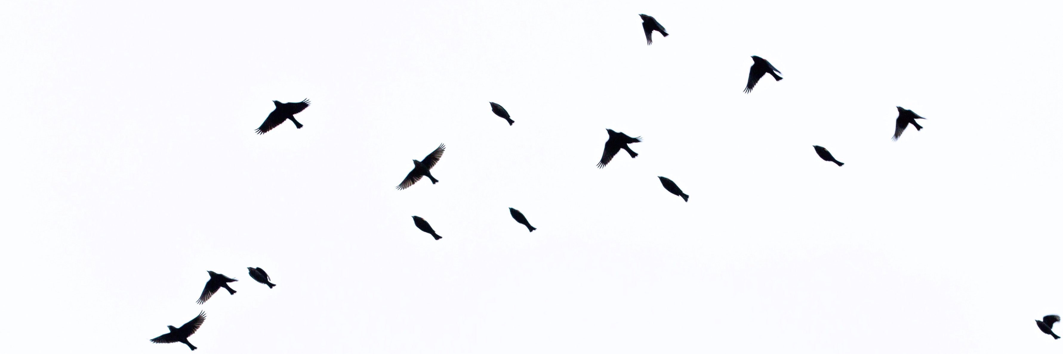 cbirns's profile banner image