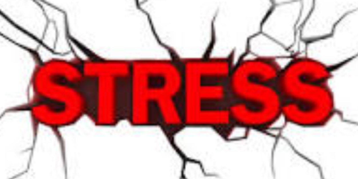 CAstudents's profile banner image