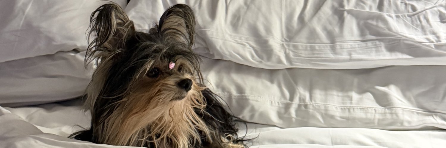 BibianaValentin's profile banner image