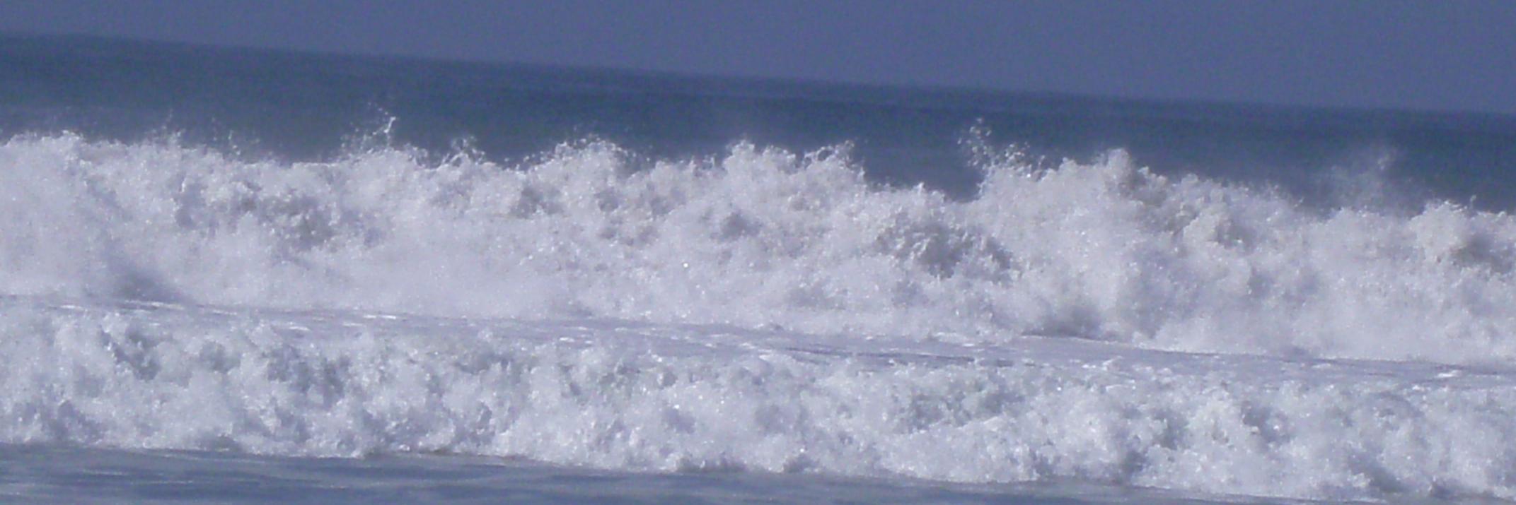WhiteSilverTail's profile banner image