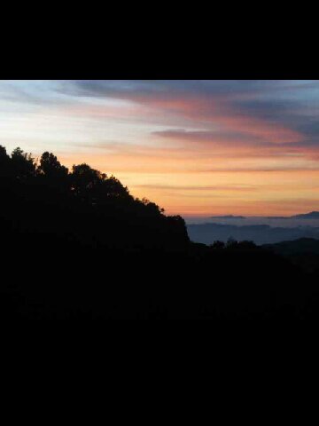 Rafi Afif Umaya π² banner