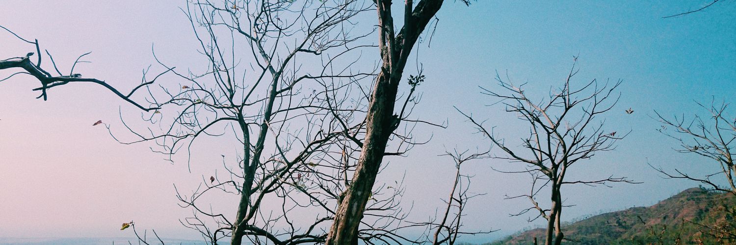 AnisaWigati's profile banner image