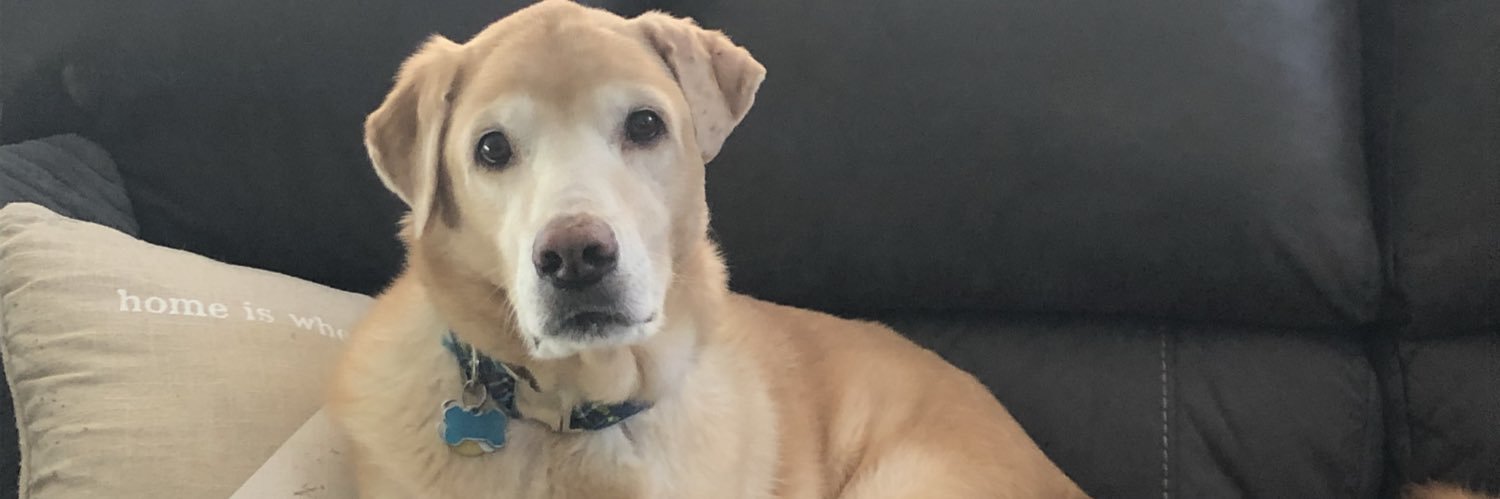 hmjones79's profile banner image