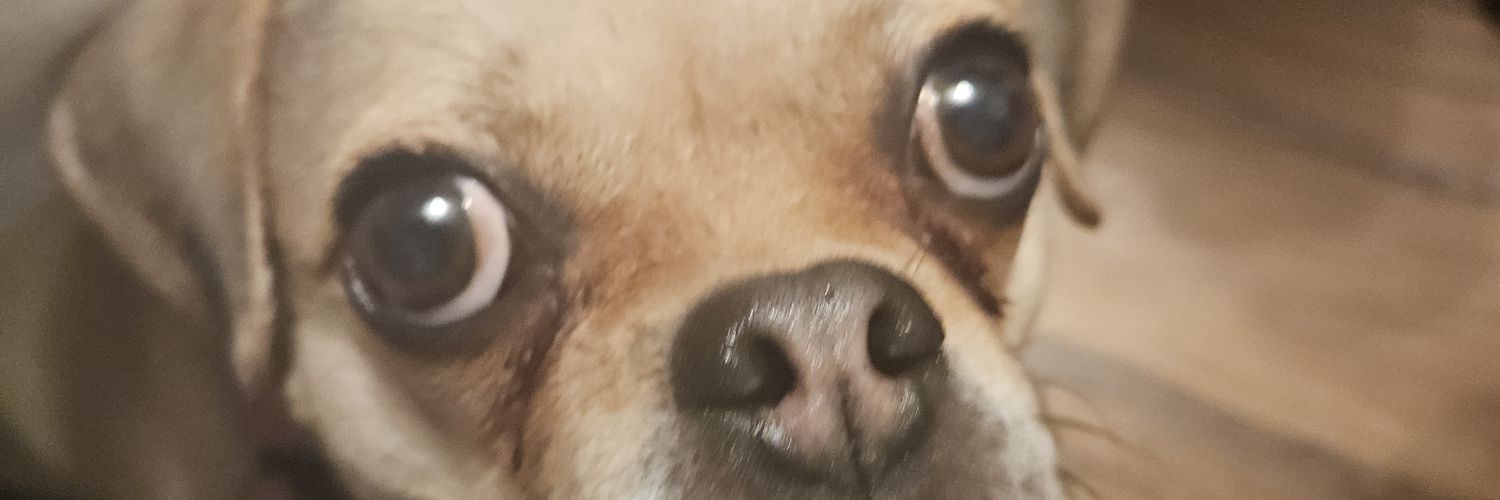 Mike_NitroKC's profile banner image
