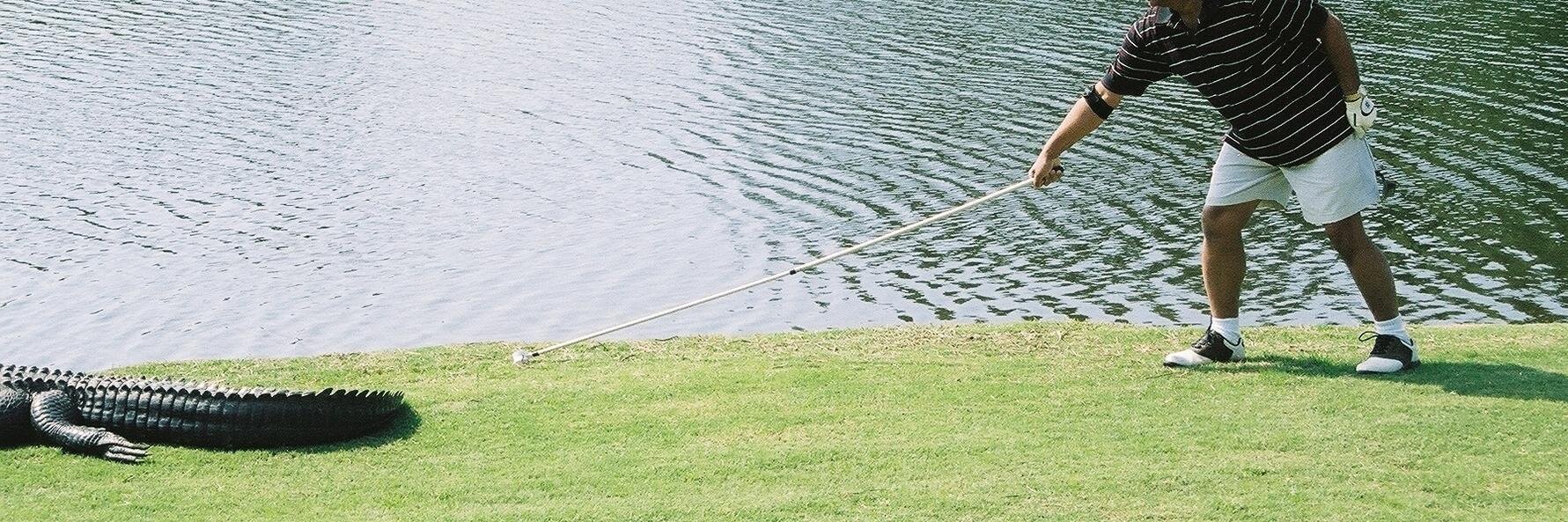 curtgolfer's profile banner image