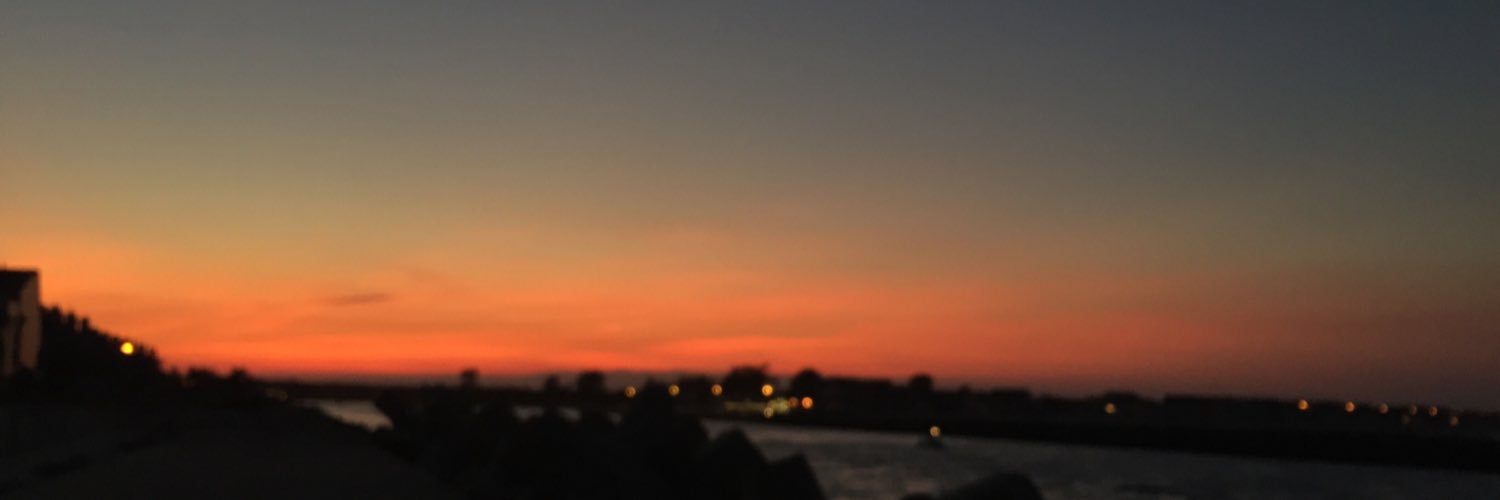 ryangoslingsdk's profile banner image
