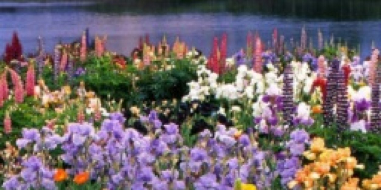 PCalvert102's profile banner image