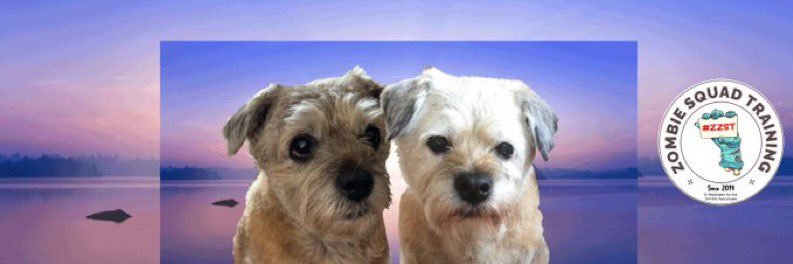 GENERAL BAZZ - GENERAL,LORD BIDDY(ANGEL) banner