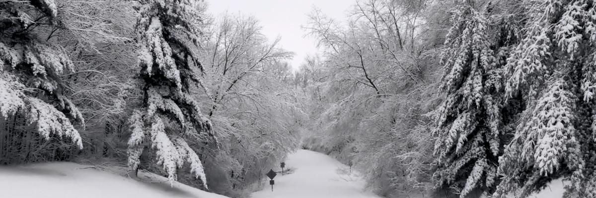 Iconoclassclown's profile banner image