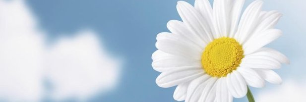 gulerdemir341's profile banner image