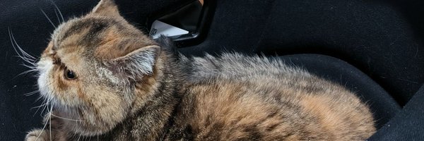 gtiowners Profile Banner