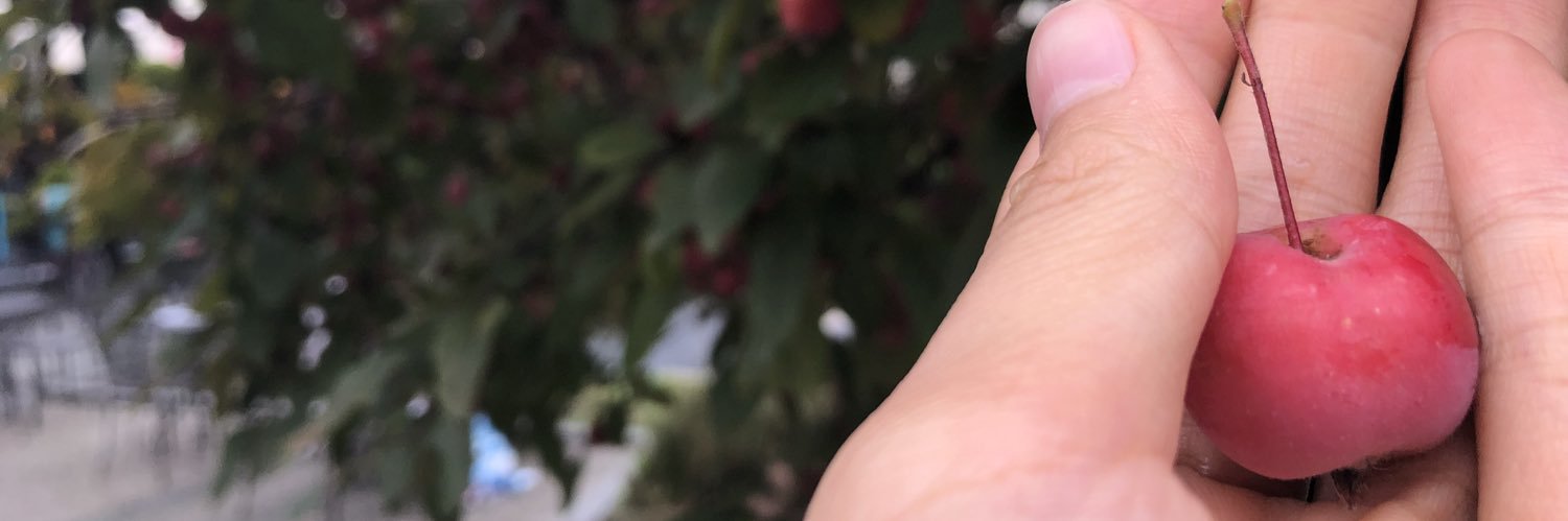 y_matubara's profile banner image