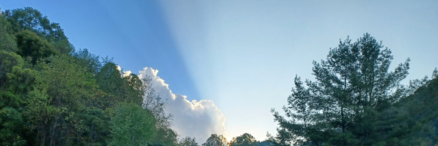Amy Lugene Potter banner