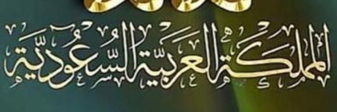 alialandal's profile banner image