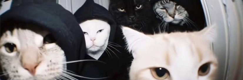 mnnlbr's profile banner image