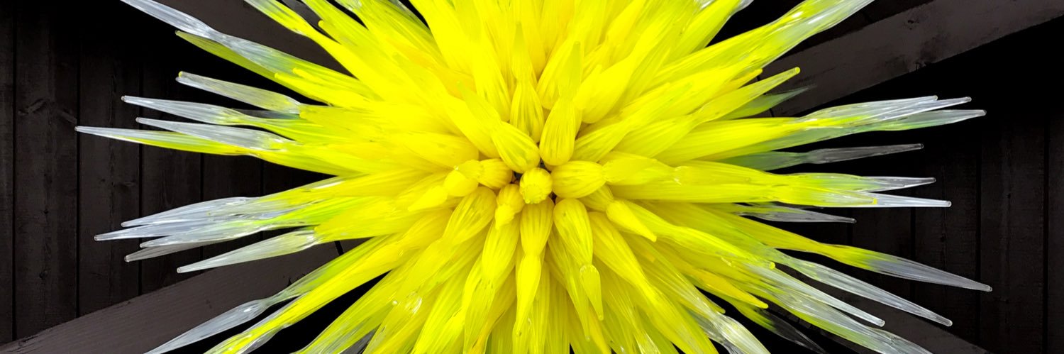 ErinKSnider's profile banner image